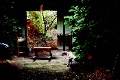Le jardin du peintre avec Eli - photographie - 56,5 x 75,8 cm - (c) D. Dawson, Hazlitt Holland-Hibbert, Londres - 2006