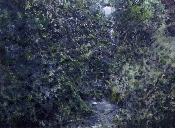Chute d'eau - acrylique sur bois - 75 x 100 cm - 2009