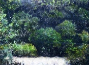 Forêt dense I - acrylique sur bois - 75 x 102 cm - 2009