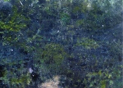 Forêt dense II - acrylique sur bois - 75 x 102 cm - 2009